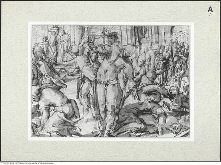 Vorderseite von bh395040_recto