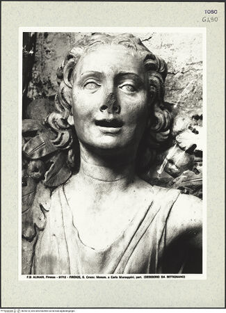 Vorderseite von bh395125_recto