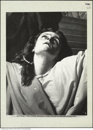 Vorderseite von bh395205_recto