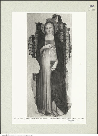 Vorderseite von bh395427_recto