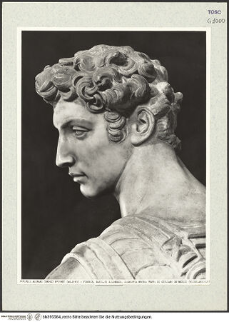 Vorderseite von bh395584_recto