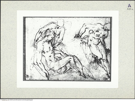 Vorderseite von bh395910_recto