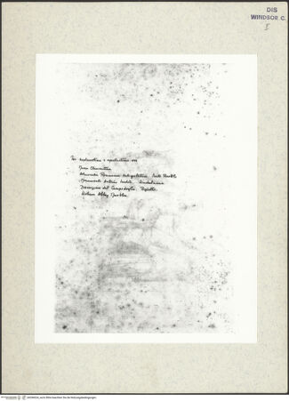 Vorderseite von bh396024_recto