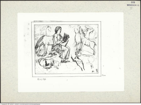 Vorderseite von bh396207-1_bh396207-2_recto