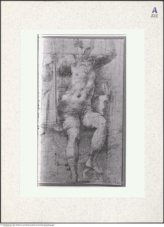 Vorderseite von bh396377_recto