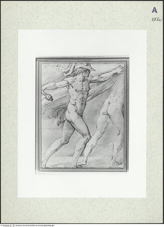 Vorderseite von bh396382_recto