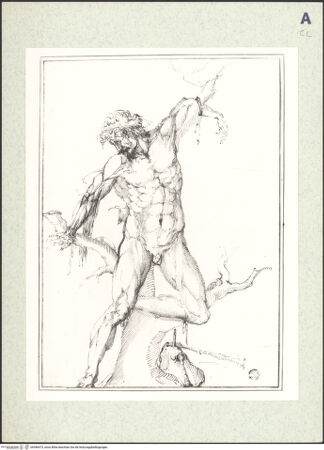 Vorderseite von bh396475_recto