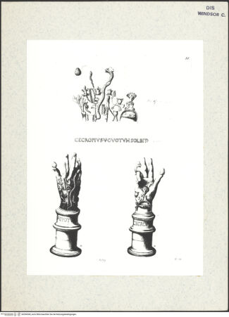 Vorderseite von bh396508_recto