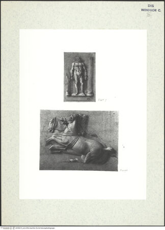 Vorderseite von bh396675_recto