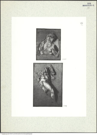 Vorderseite von bh396679_recto