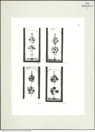 Vorderseite von bh396700_recto