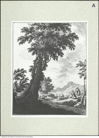 Vorderseite von bh396898_recto