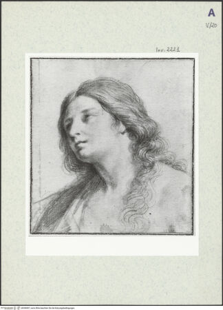 Vorderseite von bh396907_recto