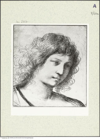 Vorderseite von bh396908_recto