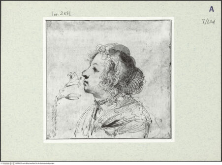 Vorderseite von bh396913_recto