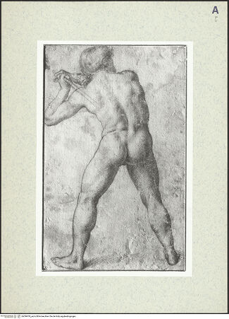 Vorderseite von bh396918_recto