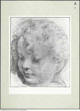 Vorderseite von bh396932_recto