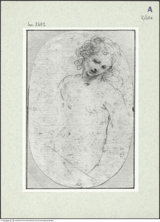 Vorderseite von bh396993_recto