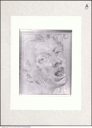 Vorderseite von bh397052_recto