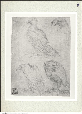 Vorderseite von bh397121_recto