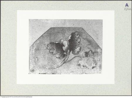 Vorderseite von bh397152_recto