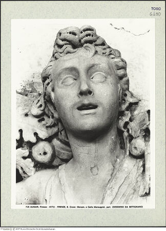 Vorderseite von bh397196_recto