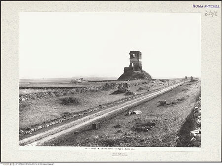 Vorderseite von bh397235_recto