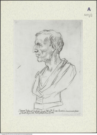 Vorderseite von bh397655_recto