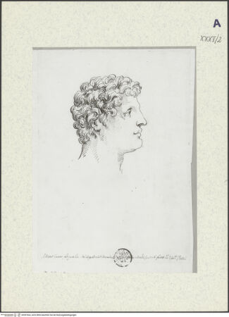 Vorderseite von bh397663_recto