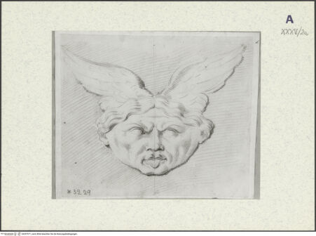 Vorderseite von bh397671_recto