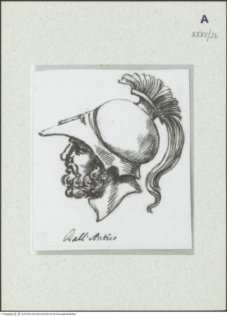 Vorderseite von bh397685_recto