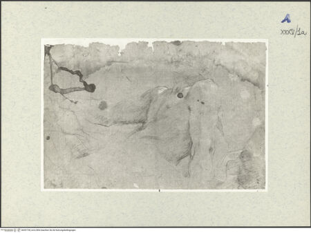 Vorderseite von bh397728_recto