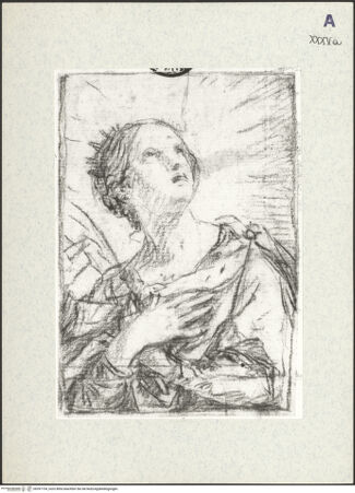 Vorderseite von bh397734_recto