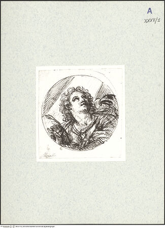 Vorderseite von bh397752_recto