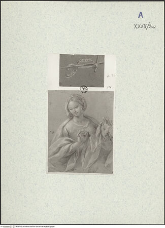 Vorderseite von bh397762_recto