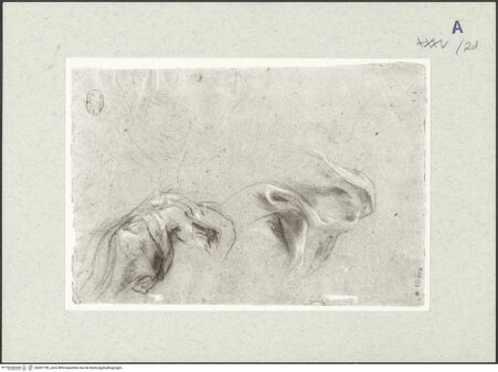 Vorderseite von bh397790_recto