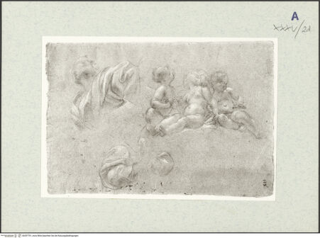 Vorderseite von bh397791_recto