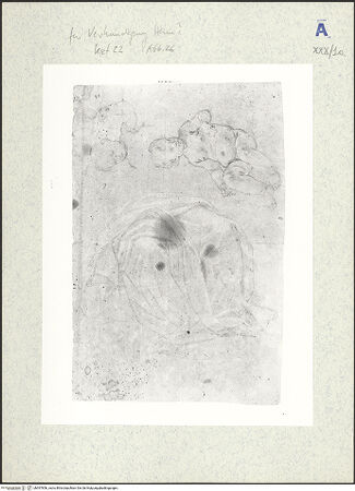 Vorderseite von bh397856_recto