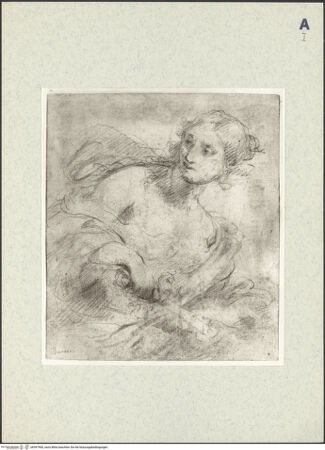 Vorderseite von bh397960_recto