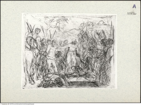 Vorderseite von bh397992_recto