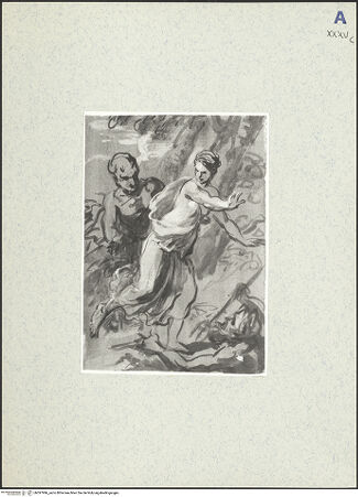 Vorderseite von bh397996_recto