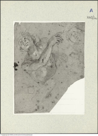 Vorderseite von bh398060_recto