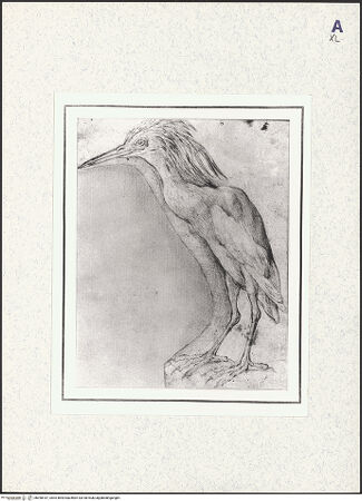 Vorderseite von bh398187_recto