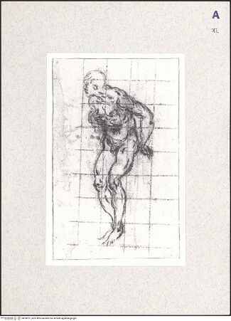 Vorderseite von bh398191_recto