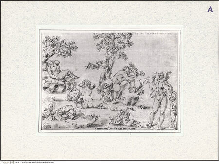 Vorderseite von bh398193_recto