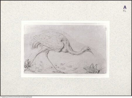 Vorderseite von bh398195_recto