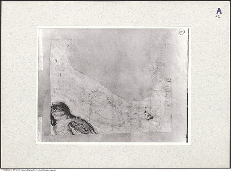 Vorderseite von bh398196_recto