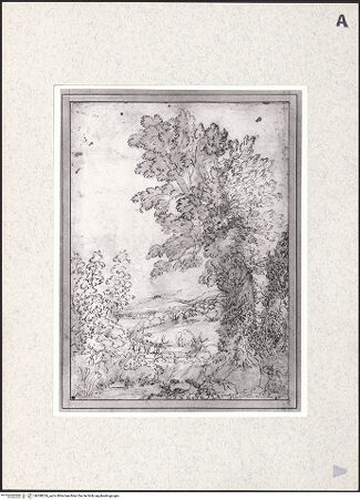 Vorderseite von bh398224_recto