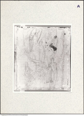 Vorderseite von bh398256_recto