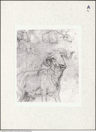 Vorderseite von bh398263_recto